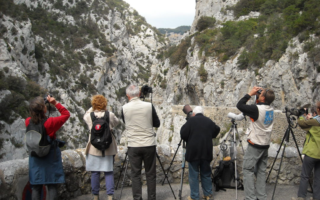 Rendez-vous dans la nature avec la LPO Aude