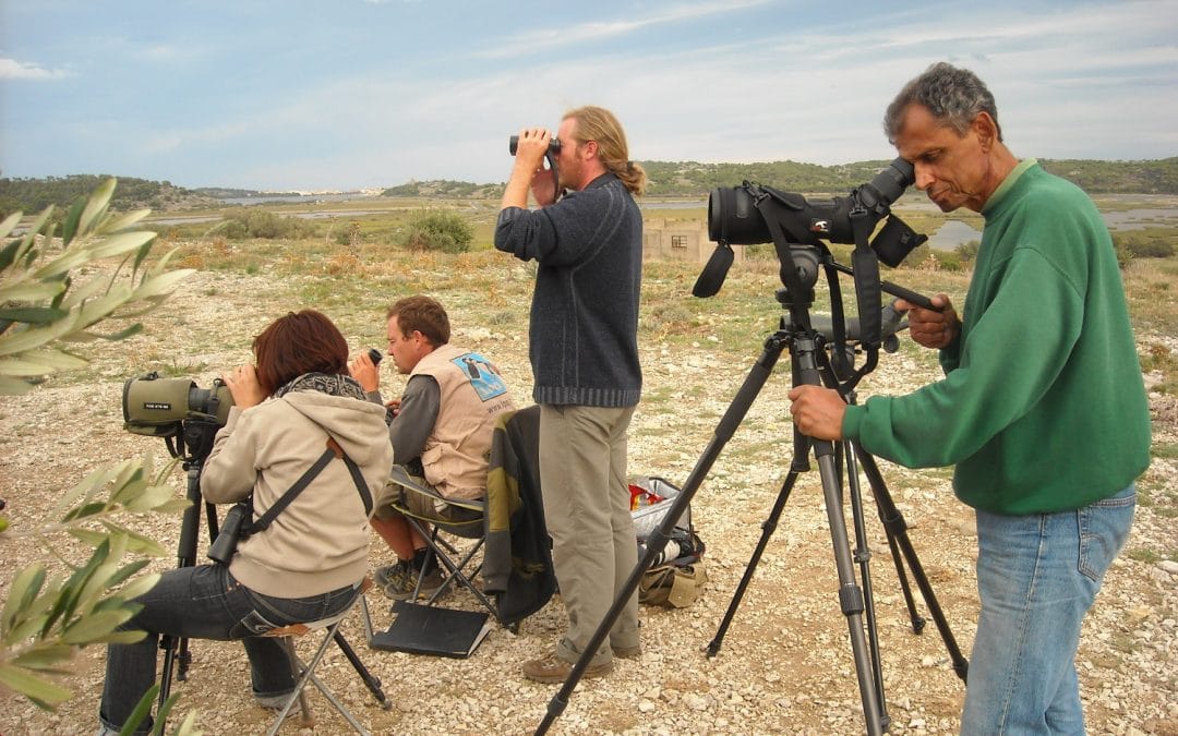 Se former au suivi de la migration des oiseaux