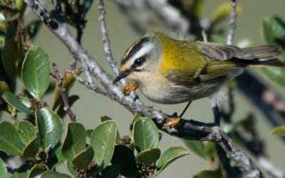 24h de Nature à Termes : une belle réussite !