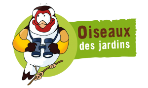 oiseaux des jardins