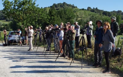 Le réseau national Aigle botté s’est réuni dans l’Aude