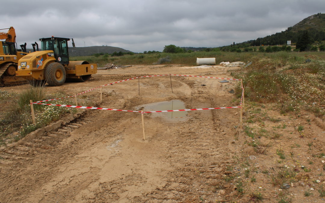 Sauvetage d’Amphibiens en zone de travaux